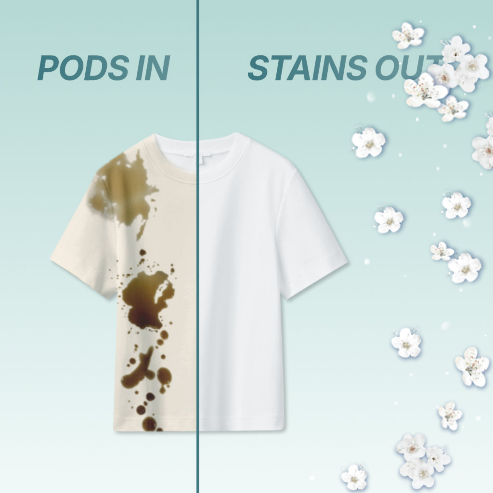 Stain Removal Before and After